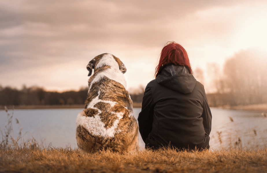 PETA Presents Gift: Happy ‘Animal-versary’