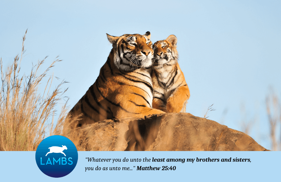 PETA Presents Gift: Thanking God for the Joy You Bring to My Life