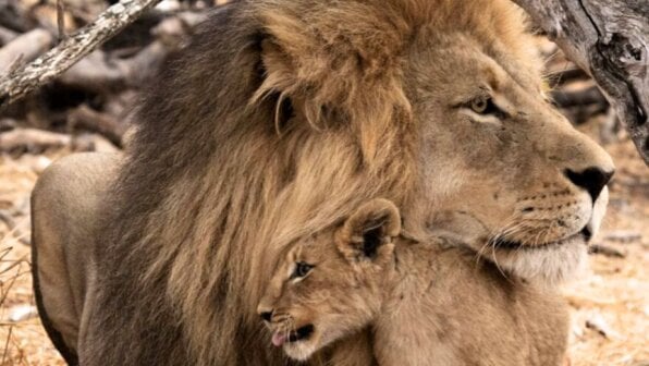 Happy Father’s Day!