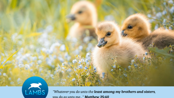 Have a Blessed Easter