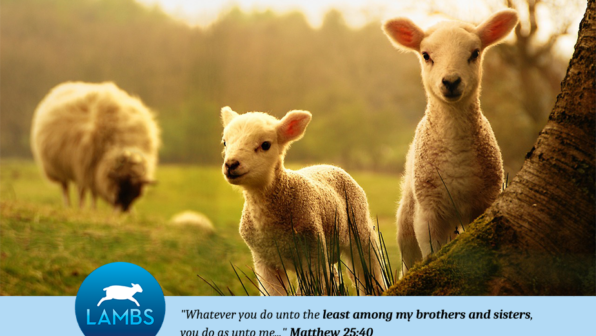 Wishing you a compassionate Easter season.