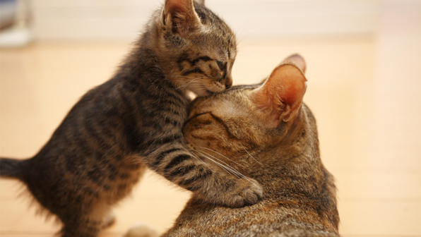 Happy Mother’s Day